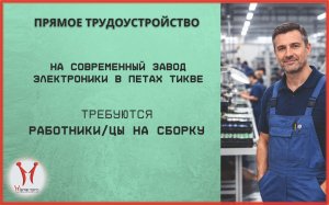 fallback-no-image-53556